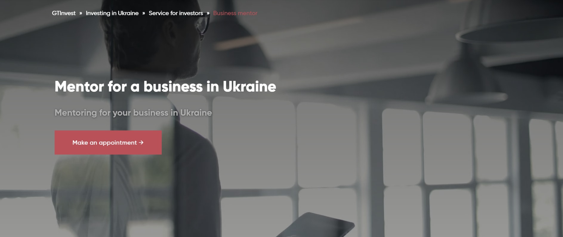 Mentoring business | Mentor for a Ukrainian company. You can organize your own business strategy and increase your return on investment in Ukraine through business mentorship